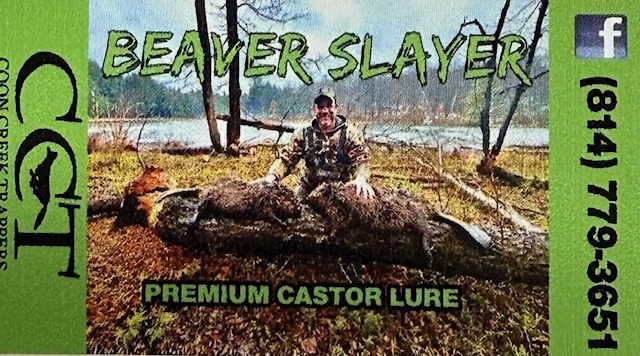 Beaver Slayer